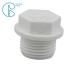 Convenient Installation Square PPR Plastic White Pipe Thread Plug