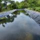 Geomembranes 1mm 2mm Waterproof Tank Dam Lining Swim Pool Fish Pond Farm Liner HDPE