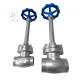 PN40 DN25/DN40 Stainless Steel Low Temperature Globe Valve For LNG/LOX/LN2/LAR/LCO2