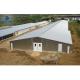 Sliding Door Steel Cattle Shed for Cow and Bull Solid H-shape Steel Beam Main Frame