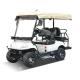 3.5-6 KW EV Golf Buggies Customization Color With Lithium Battery And Off-Road Tires