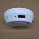 Night Vision FCC Approval H.264 Fire Detector Hidden Camera Romote Access
