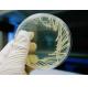 High Purity Agar Food Additive For Biotechnology Tissue Culture Medium