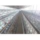 H type galvanized automatic bettery poultry farm laer chicken cage for South Africa  Market