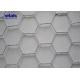 4 Inch Hexgonal Wire Mesh Galvanized Hex Netting For Poultry