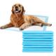 Quick Drying Anti Slip Disposable Pet Mats Small / Medium / Large Size