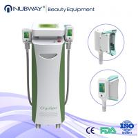 Two Fat Freezing Handles Cryolipolysis Cryotherapy Slimming Machine For Women