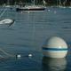 High Buoyancy Marine Floating Mooring Buoy For Ocean Mooring System