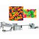 Automatic Toffee Candy Production Line 304 Stainless Steel 1 Year Warranty