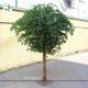 UVG GRE024 Wholesale green artificial money tree plant for restaurant decoration 6ft high