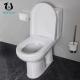 Floor Mounted Two Piece Toilet Bowl Practical Design Style Elongated Shape