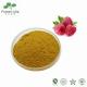100% Natural Wild Raspberry Extract Natural Berries Juice Powder Free Sample
