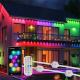 24V IP67 LED Outside Christmas Lights for Home Decoration SPI Control LED Suppliers
