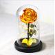 24k gold rose galaxy rose in forbidden glass Preserved Flowers Flower Crafts Preserved roses