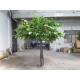 Green Color Artificial Apple Tree Height 3m Width 2.5m / Large Fake Plants