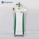 2018 Newest weight loss cryolipolysis slimming machine with 5 handles for clinic use
