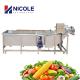 Multifunctional Washing Fruit Vegetable Cleaning Machine Stainless Steel