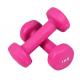 Wholesale Round Head Vinyl Dipping Dumbbell /customize dumbell
