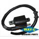 30500-KWA-930 Motorcycle Moto Alloy Ignition Coil Assy For HONDA ECO DELUXE