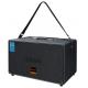 Rechargeable Home Portable Karaoke Speaker High Definition With Two Microphones