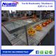 Poultry farming equipment for professional farmers