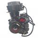 Steel Air Cooling CG200 DAYANG Motorcycle Tricycle Engine Assembly 198ml Electric/kick Method Origin