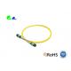 MTP Trunk Cable 12 Fibre 9 / 125μm MTP to MTP Female Single Mode OS2 LSZH Type A Patch Cable