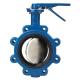 Wafer Butterfly Valve with Stainless Steel Disc pn16 ansi150lb jis 10k handle manual wormgear rotork