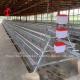 Commercial Chicken Layer Battery Cage System 2.0m*2.0m*1.45m In Nigeria Star