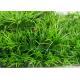 10mm Pile Height Straight PE 5/32 Landscape Synthetic Grass