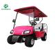 2 Seats Electric cart with 48V Battery/ Mini Electric cart hot sales to Europe