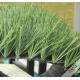 FIFA Standard Diamond Shape Football Artificial Turf with 160 Stitchs / 60mm Pile Height