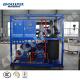 Fast Cooling Direct System Block Ice Machine 10 Ton Daily Capacity with Bitzer Compressor