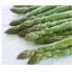 Good Price for Green Asparagus Spears Frozen IQF Vegetables hot sale grade A