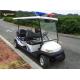 48V Small Battery Operated Custom Electric Golf Buggies to Rear Storage