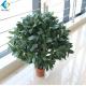 Ornamental Artificial Bonsai Tree Plastic Leaf Evergreen Type For Tea House Decoration