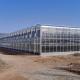 Insulated Tempered Glass Greenhouse Sunlight Venlo Greenhouse For Horticulture