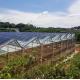 30 Days Return Refunds Double Layer PE/Po Plastic Film Photovoltaic Solar Greenhouse