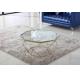 Stainless Steel Modern Glass Coffee Tables Stylish Tea Table Living Packing Pearl Room