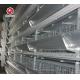 Poultry Field Chicken Farming Equipment 90 Birds H Type Layer Cage