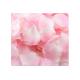 pink fabric rose petals