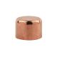 NPT Thread Type Copper Pipe Cap with Polished Finish for Durable Pipe Fitting