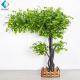 Evergreen Artificial Ginkgo Tree 1.5m Height 5-10 Years Life Time Eco Friendly