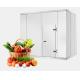 1160mm Fruit Cold Storage Room 100mm Panel Commercial Freezer Room