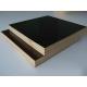 1250mmx2500mmm or 1220mmx2440mm Construction Film Faced Plywood marine plywood with good price