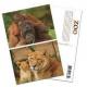PLASTIC LENTICULAR cheap price 3D postcards 3D animal post cards with lenticular sheet material
