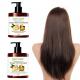All Hair Types Private Label Ginger Hair Care Set Anti-Frizz and Hair Growth Shampoo