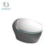 CUPC European 110v/220VAC Bathroom Toilet Bowl Smart Commode Auto Wash