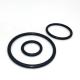 ISO9001 Mechanical Seals Parts FKM 75 Shore Rubber O Rings