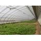 Assembled Solar Greenhouse Steel Pipe Single Tunnel For Seeding / Planting